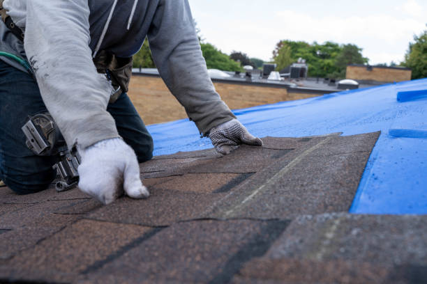 Roof Gutter Cleaning in Perry Hall, MD